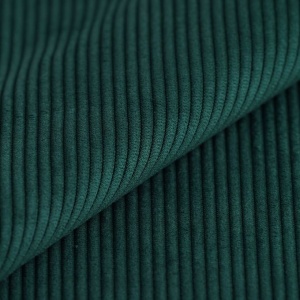 velours_vert_sapin